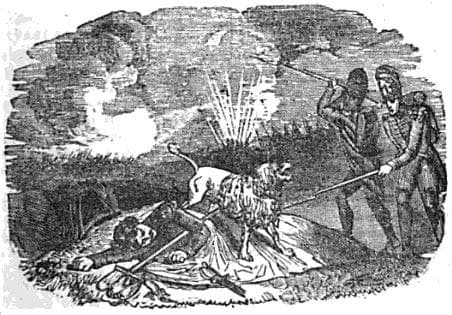 Newsletter image